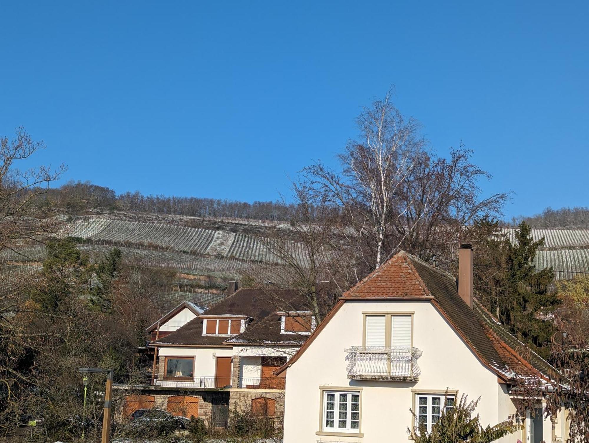 Le Cosy Apartment Marlenheim Exterior photo